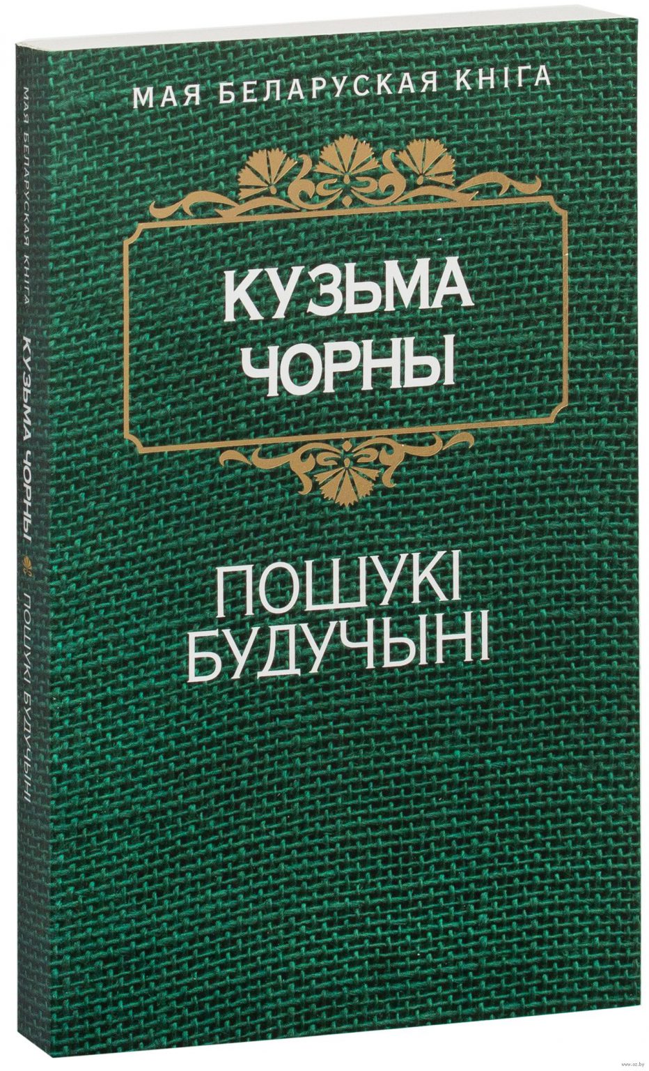 На прыкладзе адной з узнятых у артыкуле праблем пабудуйце свае разважанне па схеме